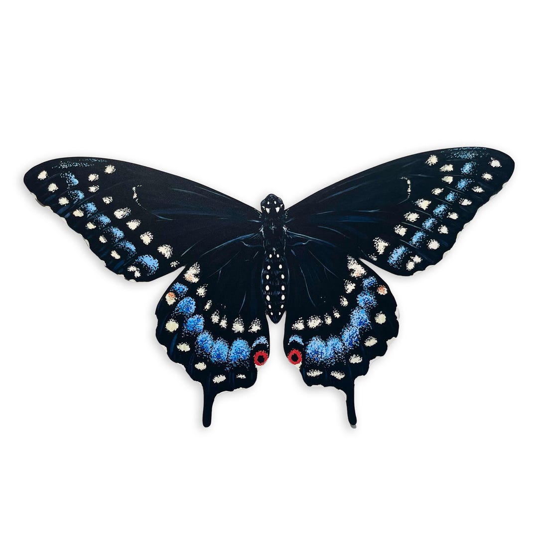 Black Swallowtail Butterfly Print | Wall Art | Cottage Core