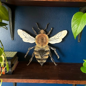 Wood Bee Cutout Print | Honey Bee | Bee Lover | Wall Art | Cottage Core and Boho Decor | Wall Hanging