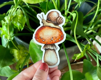 Snail and Mushroom Sticker