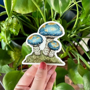Pegatina de champiñones de cerceta azulada