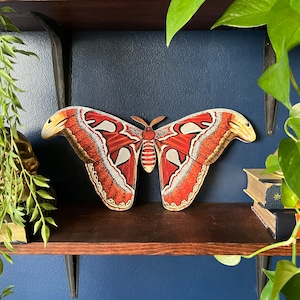 Handmade Wooden Atlas Moth Print  | Wall Art | Cottage Core and Boho Decor | Wall Hanging