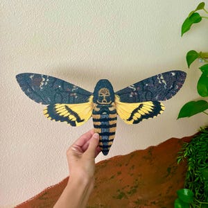 Handmade Death&#39;s Head Hawk Moth Wood Print