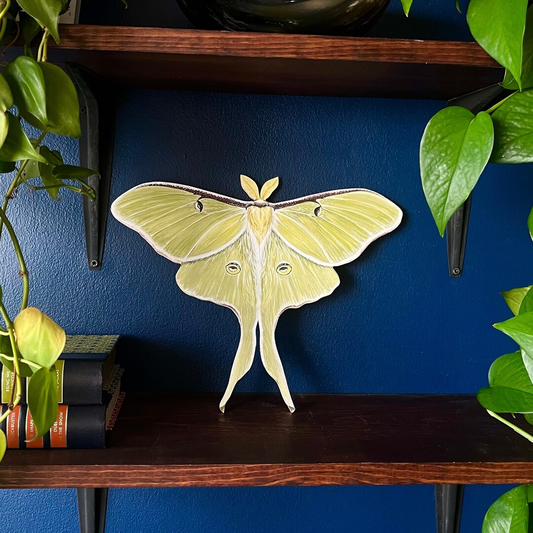 Luna Moth Print Wood Cutout | Wall Art | Cottage Core and Boho Decor ...