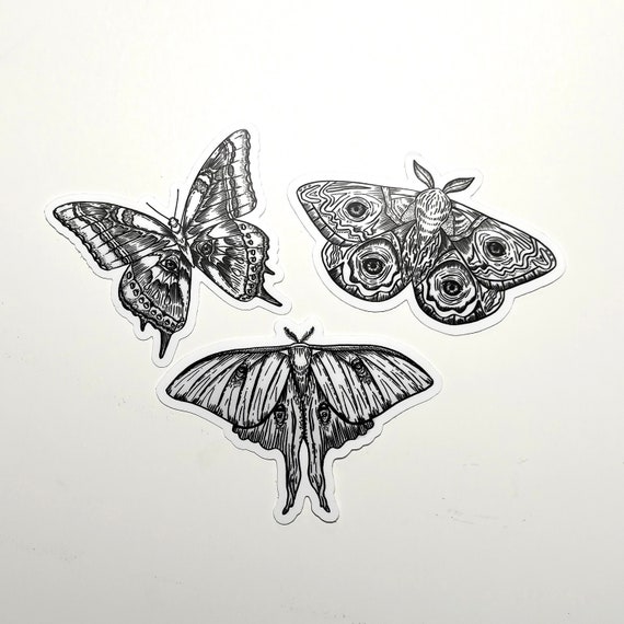 イラスト入り蛾ステッカーパック - Etsy 日本