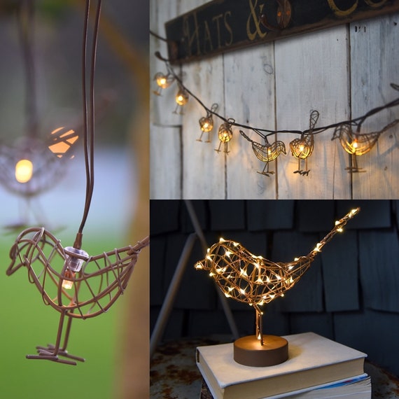 Solar robin light deals