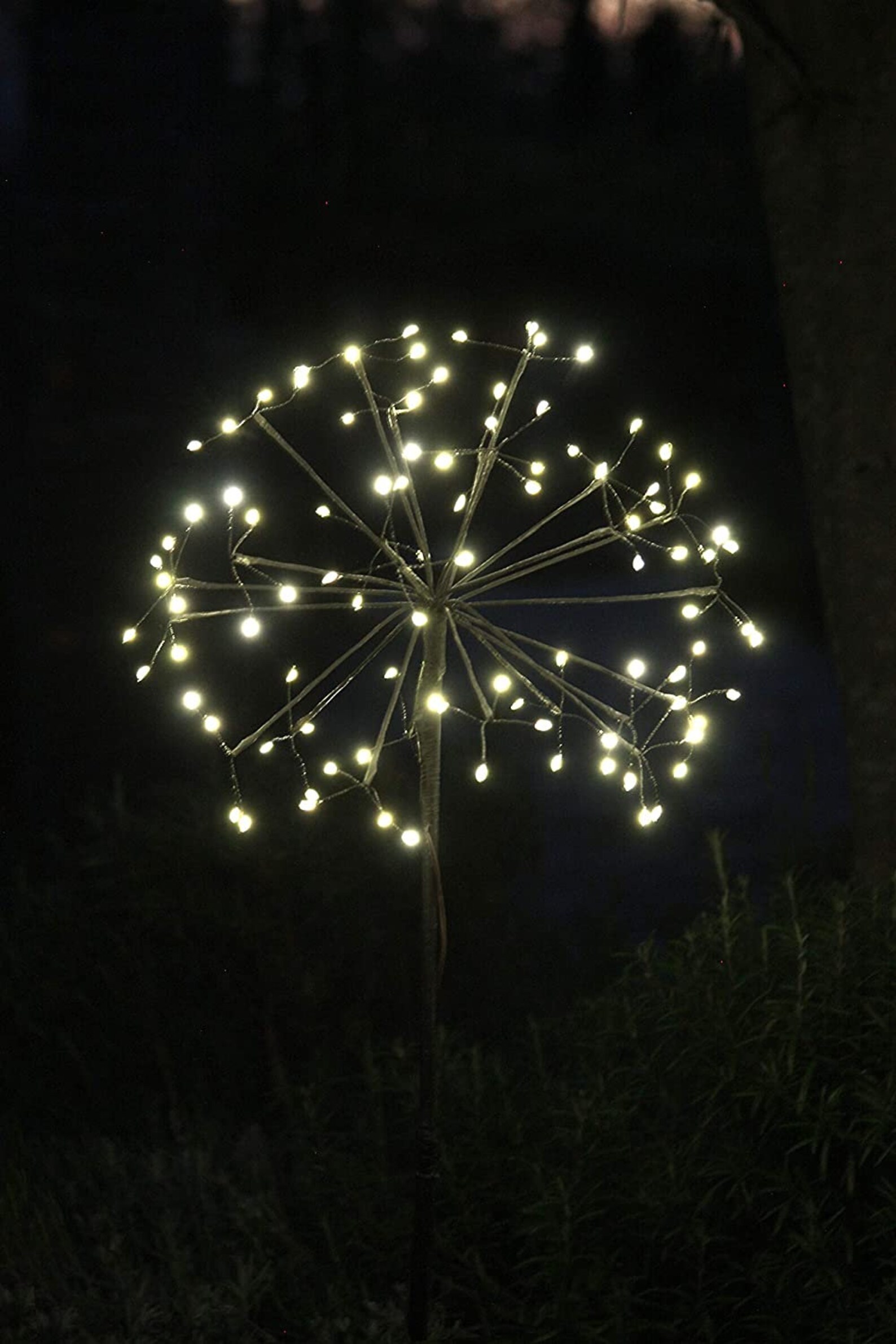 solar dandelion stake lights