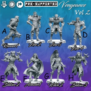 Vengeance Team Vol.2  - Fantasy Football Team  - RN Estudio  Mythbowl - Fantasy Football Perfect Wargamer Gift