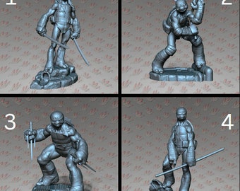 Turtle Dudes Set 1 | Fan Art | Beast Pathfinder l Tabletop RPG l Dungeons and Dragons |