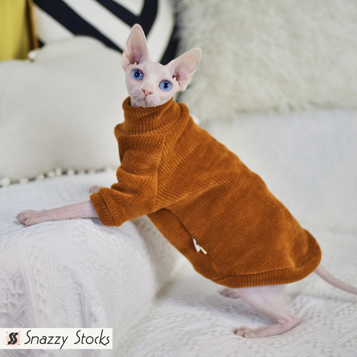 Sphinx Hairless Cat Clothes Bingus Clothes Bingus Cat Etsy