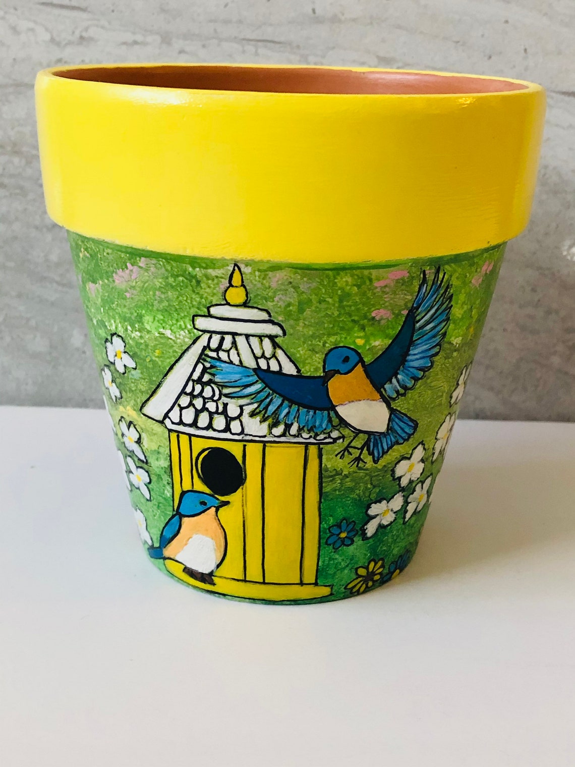 5 Hand Painted Flower Pot/birdhouse Flower Pot/birds Etsy