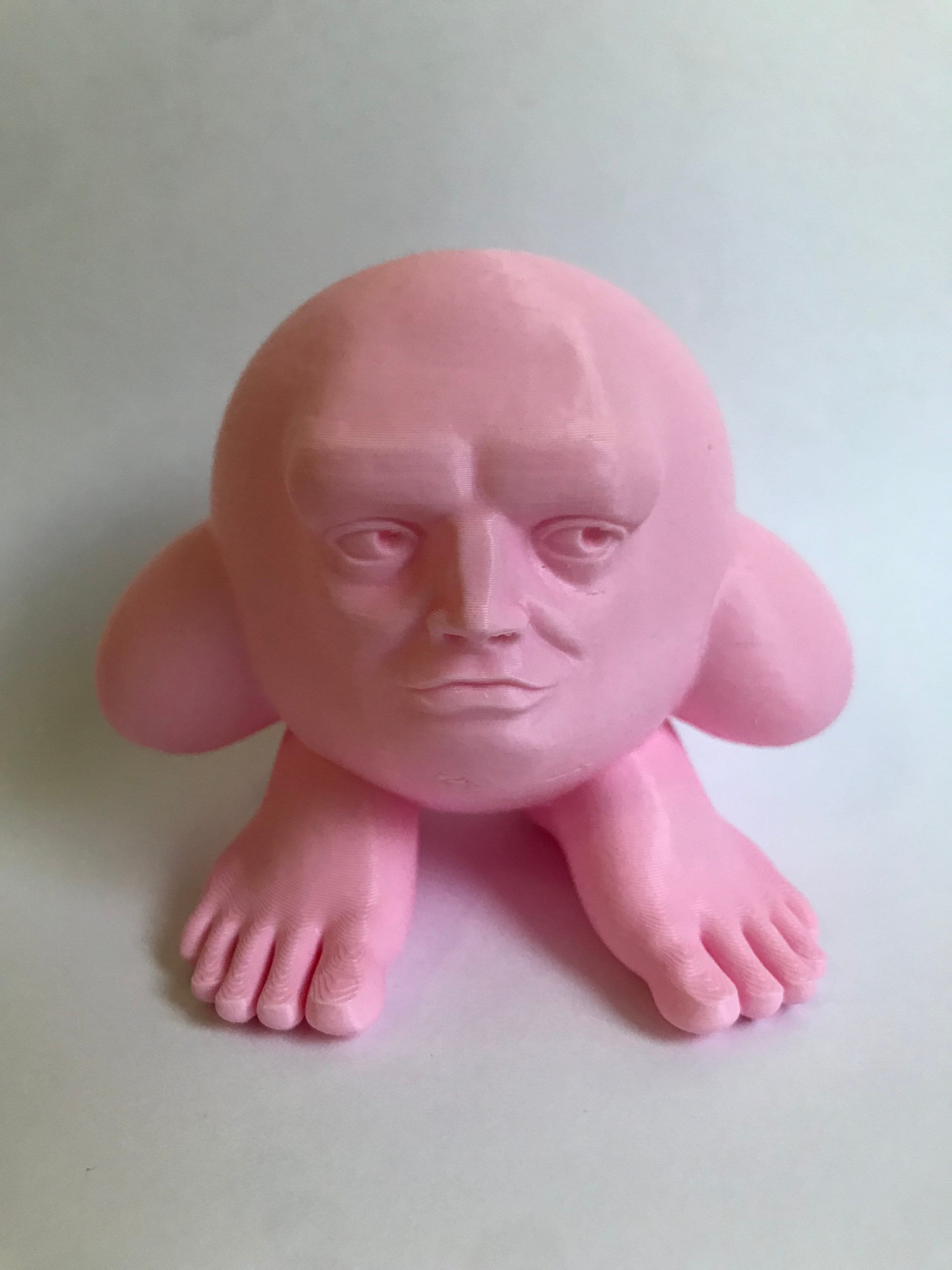 Creepy Kirby 3D Printed Gag Gifts Funny Kirby's Etsy Australia