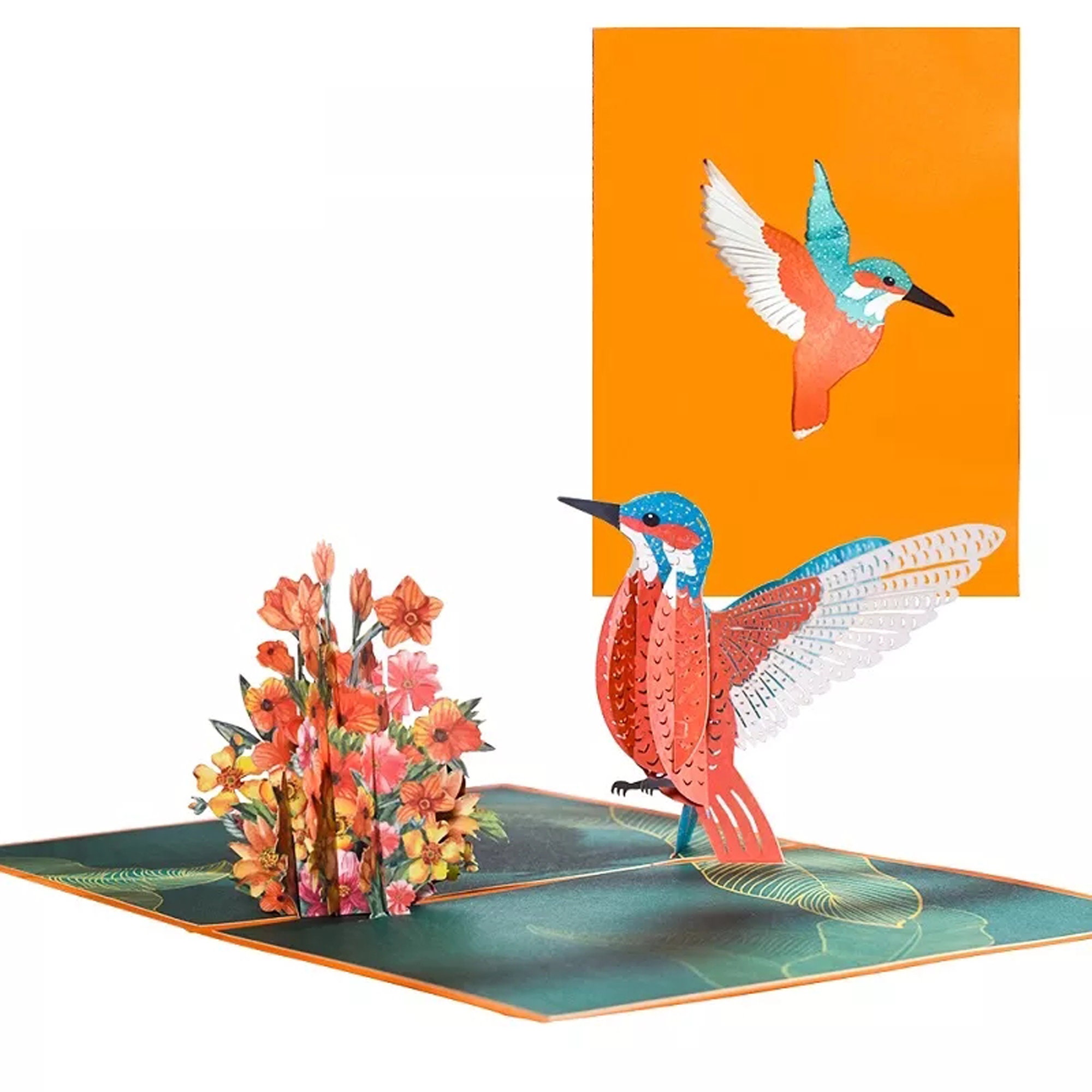 Hummingbird Pop Up - Etsy