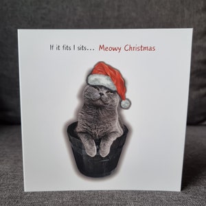Biglietto di Natale, British Shorthair, biglietto di Natale divertente, biglietto di gatto divertente, gatto che indossa il cappello di Babbo Natale, se ci sta mi siedo