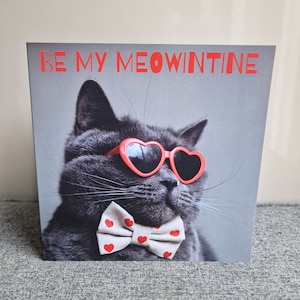 Britisch Kurzhaar Katzen Karte zum Valentinstag