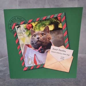 Carte de Noël, drôle de chat British Shorthair