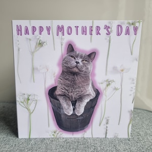 Tarjeta del día de la madre / Tarjeta con gato británico de pelo corto