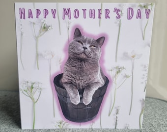 Funny Mother's Day Card | From the Cat | Mother's Day Card | Happy ...