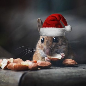 Kerstkaart muis