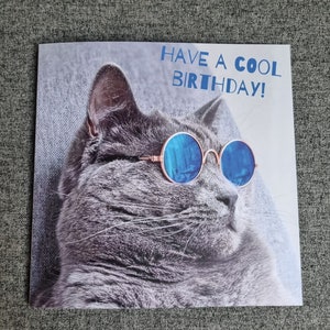 Carte d'anniversaire chat British shorthair