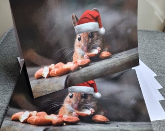 Paquete De 30 Tarjetas De Navidad, Paquete Múltiple | 6