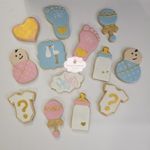 Babyshower en gender Reveal-suikerkoekjes – 1 dozijn afzonderlijk verpakt – op maat versierde koekjes, hij of zij-thema, gunsten babyfeestje