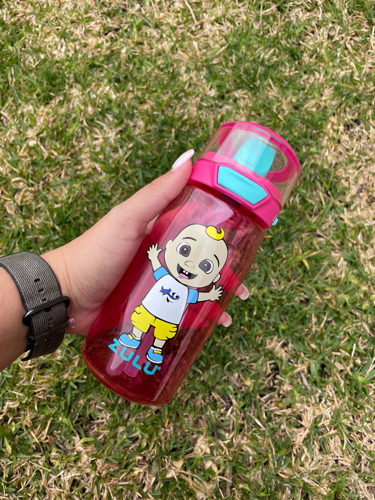 cocomelon water toys