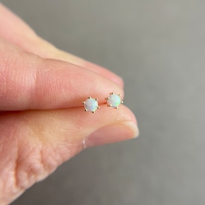10K Solid Gold/ Tiny Opal 6 Prong  Stud Earrings - 10K Solid Gold