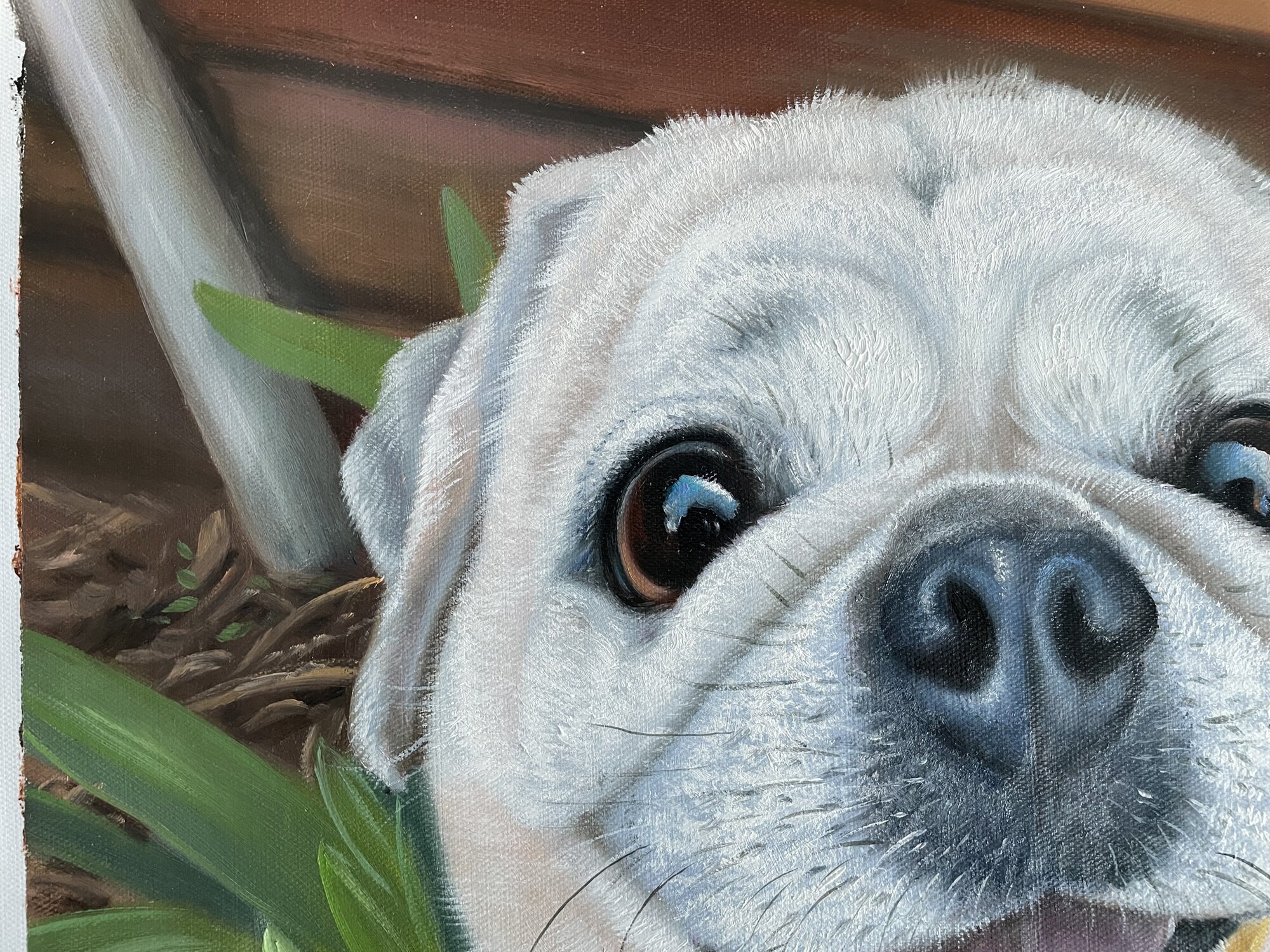 Personalized Hand-painted Portrait Painting on Canvas, Custom Pet ...