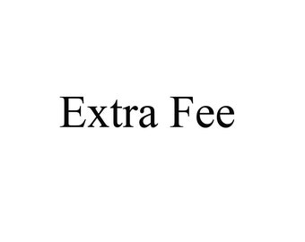 Extra Fee