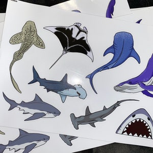 Sea Creatures Sticker Sheet