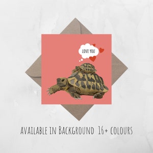 Carte Danniversaire De Tortue Carte De Joyeux Anniversaire Etsy Canada