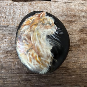 Custom Pet Portraits, Pet memorials, Pocket sized or large stone, Hand Painted River Rock, Free Personalization