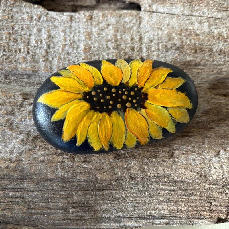 Painted River Rocks - Etsy