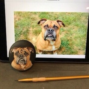 May include: A painted rock art piece depicting a brown and white boxer dog. The rock is round and smooth, and the painting is very detailed. The rock is sitting on a black surface.