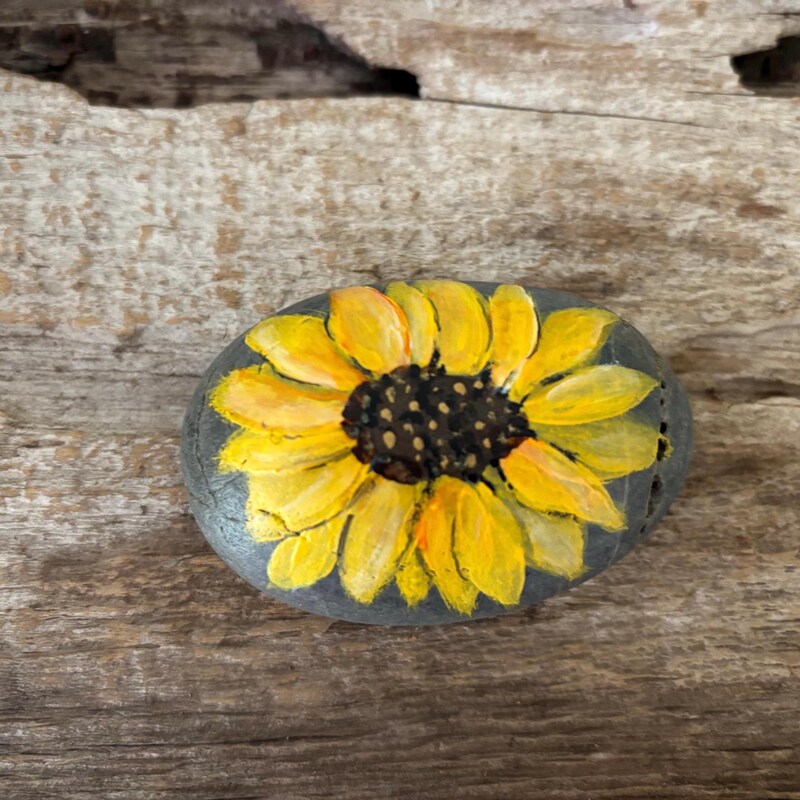 Painted River Rocks - Etsy