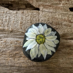 Daisy flower, Hand Painted River Rock, free personalizing and shipping
