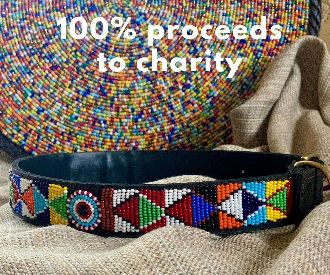 Beaded African Dog Collar Etsy