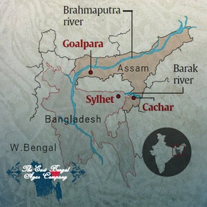 Salla Hindi Wild Daily use Sylhet/Assam Belt image 4