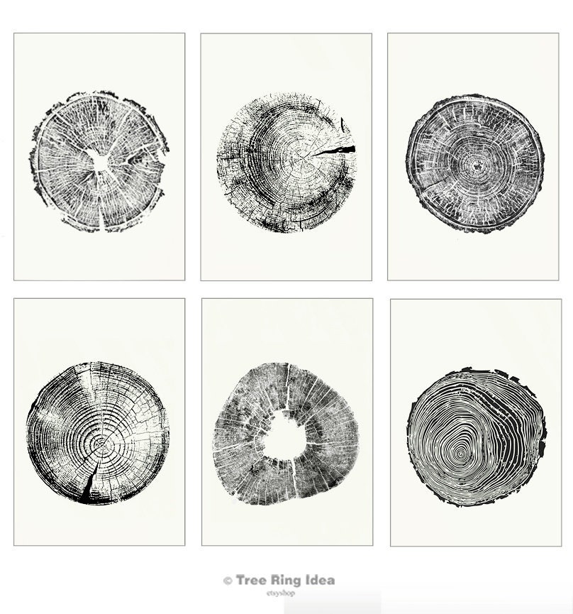 Tree Ring Art Print Tree Ring Print Set of 6 Prints Log Etsy