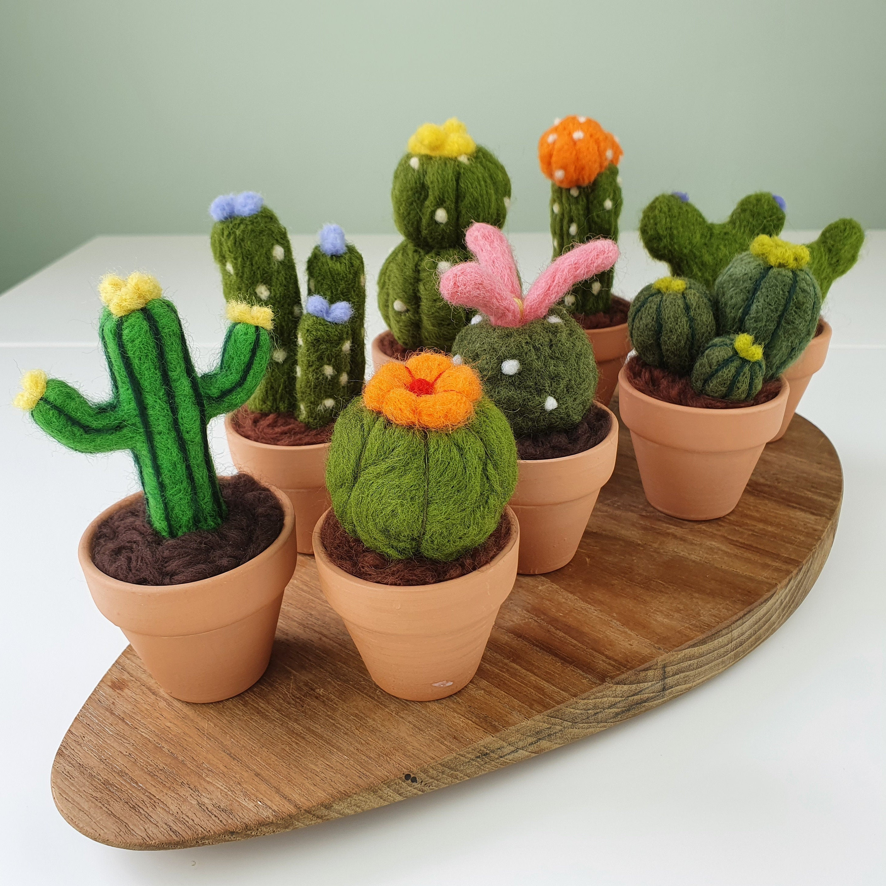 Mini Needle Felted Cactus Potted House Plant Etsy UK