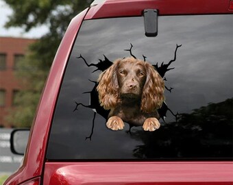 boykin spaniel christmas stocking