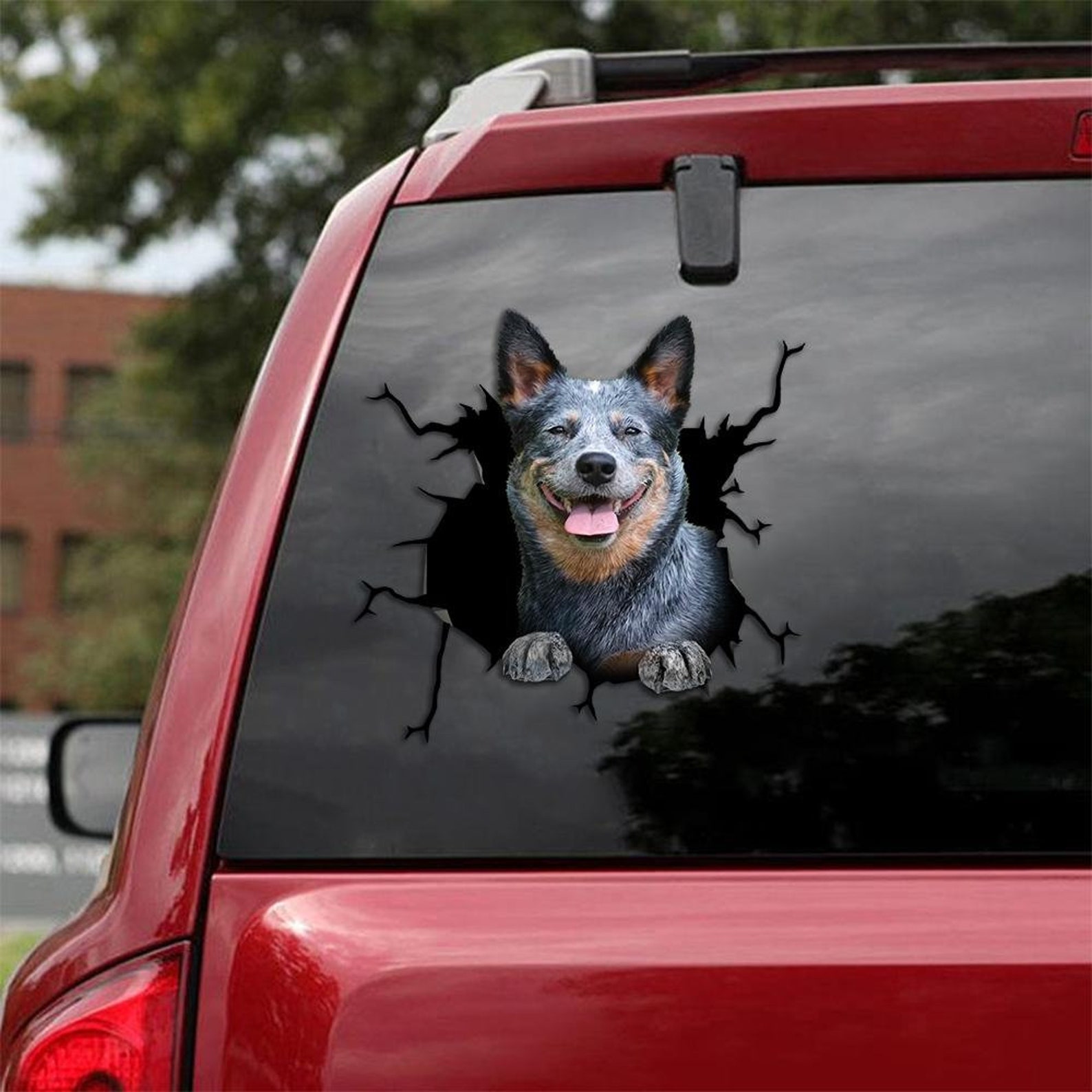 Blue Heeler Decal Fits Carswindowslaptops and Any Smooth Etsy