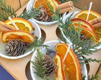 Beeswax Fire Starters – Orange, Cinnamon & Pine Scent, Set of 4