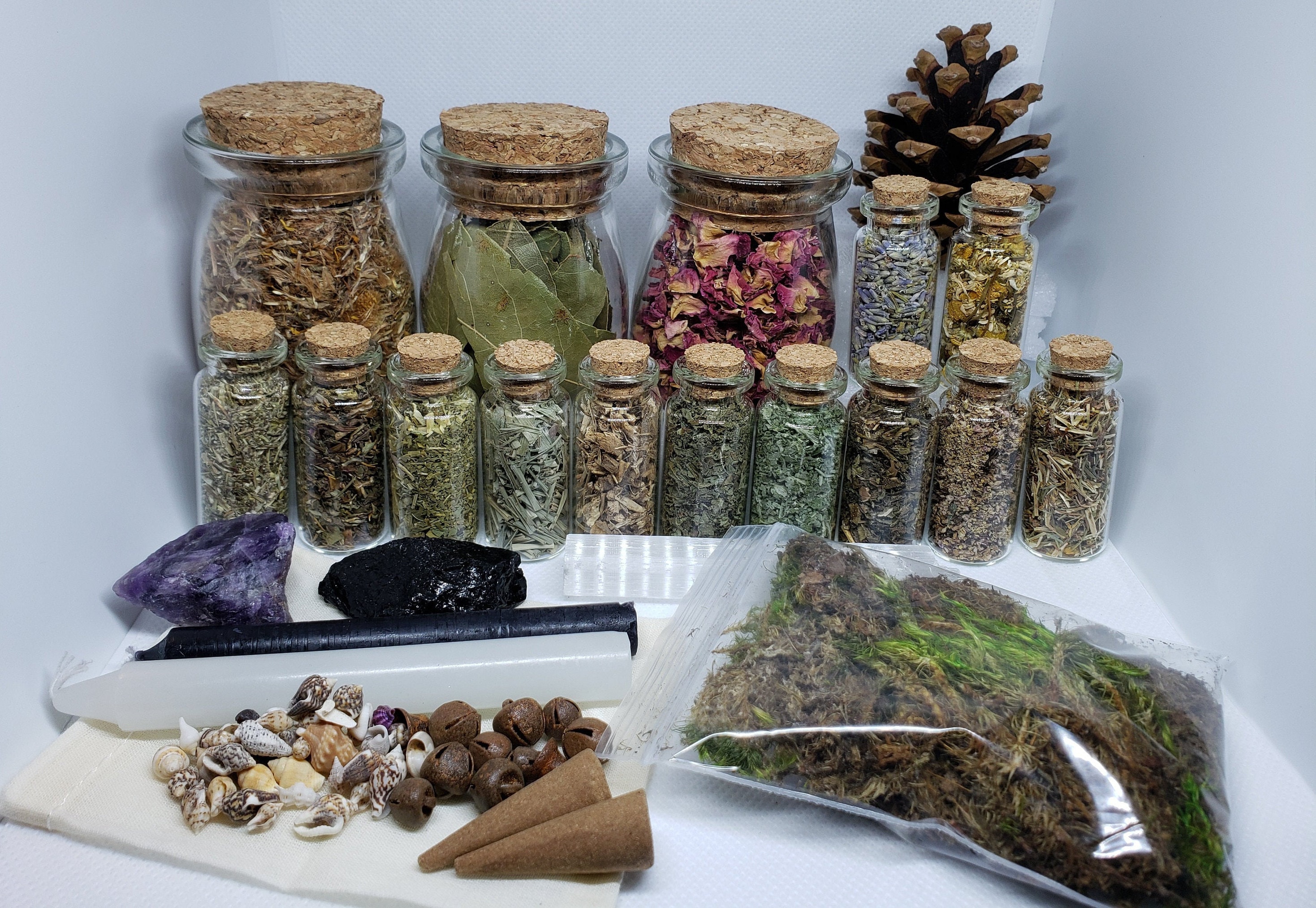 Collection of witch herbs and spices in labeled glass jars – ideal for apothecary aesthetic and spell ingredient organization.