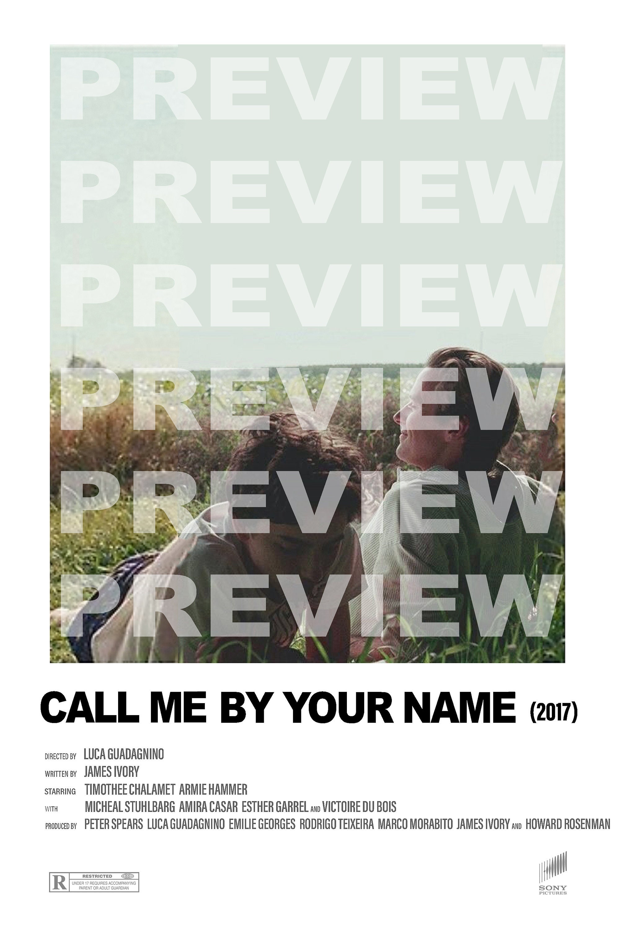 Call Me By Your Name Alternative Movie Poster Download Etsy