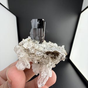 Terminated Brookite crystal perched on Quartz Matrix from Baluchistan Pakistan.