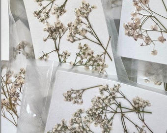 Dried Flowers | DIY Flowers | Dried Baby&#39;s Breath | Dried Babys Breath | Dried Leaves | DIY Pressed Flowers | Resin Art | Ships from USA
