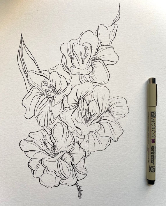 Easy Flower Pen Drawing Simple Ink Drawing Floral Art Design