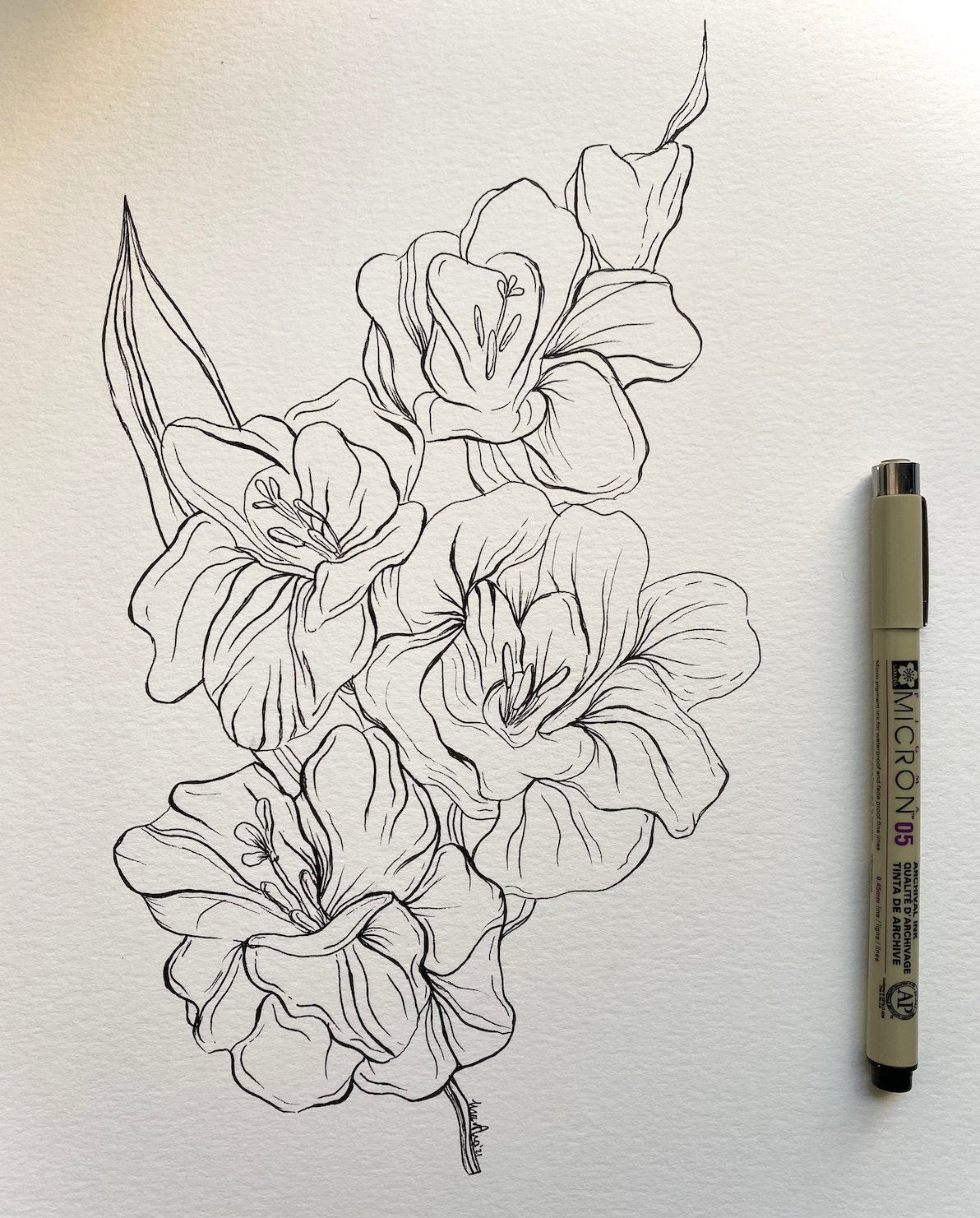 Fountain Pen Sketching Part 2: Why draw with a fountain pen? - Liz Steel :  Liz Steel