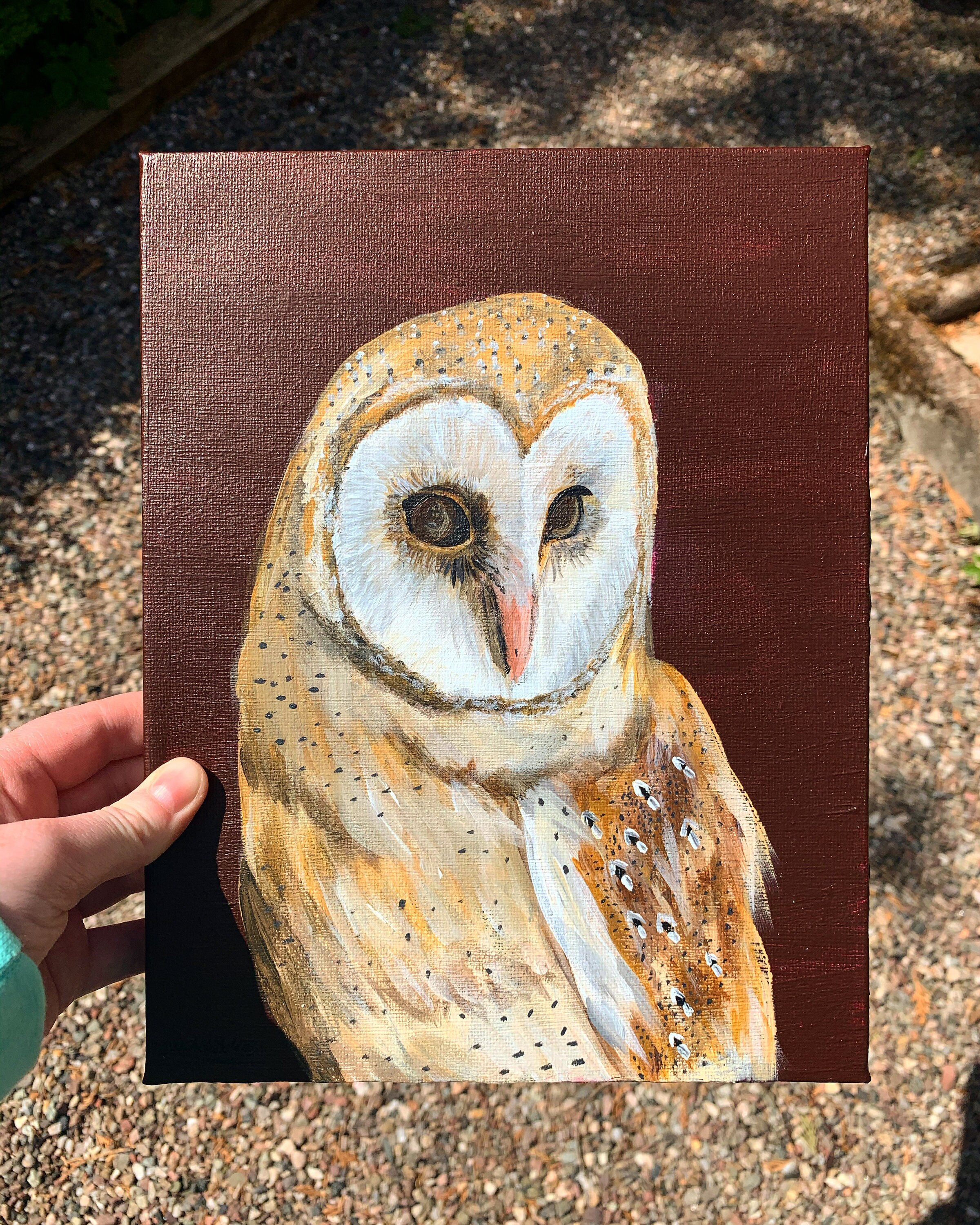 Barn Owl in Repose - Barn Owl Acrylic Painting on Canvas